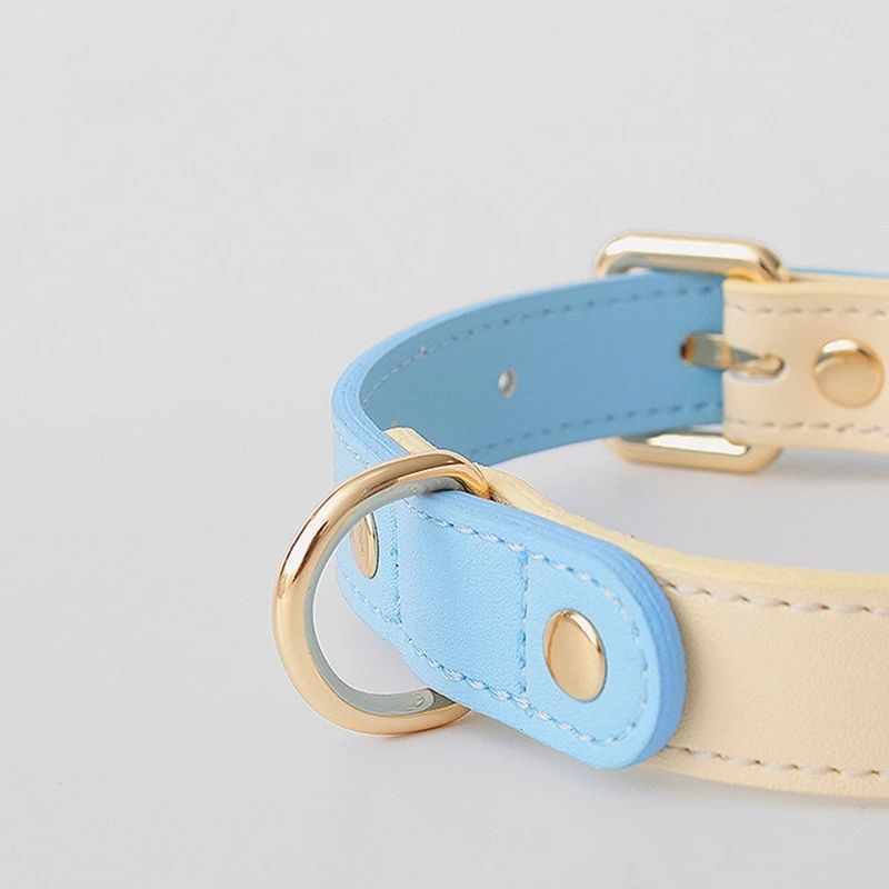 Genuine Leather Dog & Cat Collar – Premium Pet Collar in S, M, L