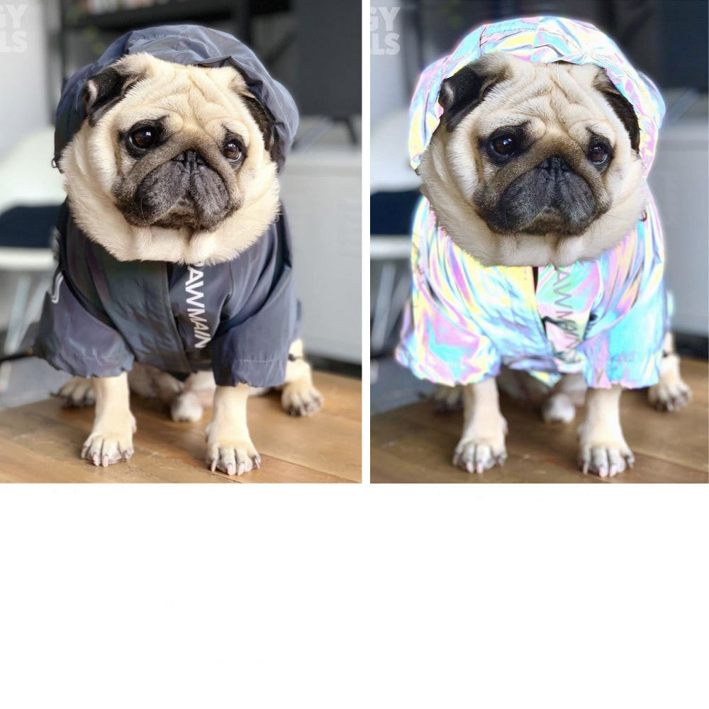 Windproof & Waterproof Dog Raincoat – Reflective Storm Coat for Dogs | S–5XL