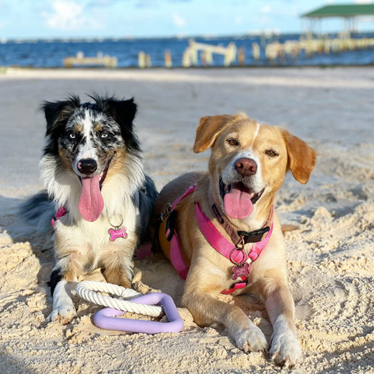 TPR Triangle Tug & Chew Dog Toy – Interactive Training Toy for Dogs