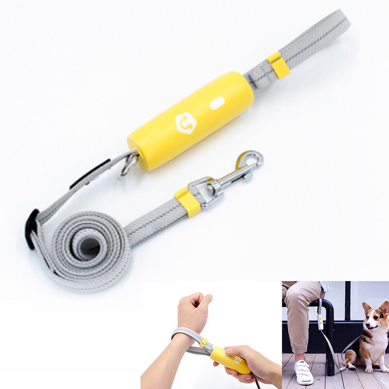 Reflective Adjustable Dog Leash – Elastic Nylon Walking Leash for Dogs up to 30kg