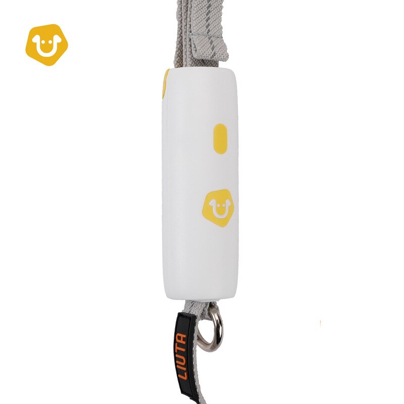 Reflective Adjustable Dog Leash – Elastic Nylon Walking Leash for Dogs up to 30kg