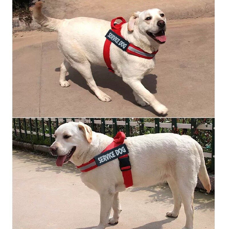 Adjustable Dog Harness Vest – Comfortable No-Pull Vest Harness for Dogs